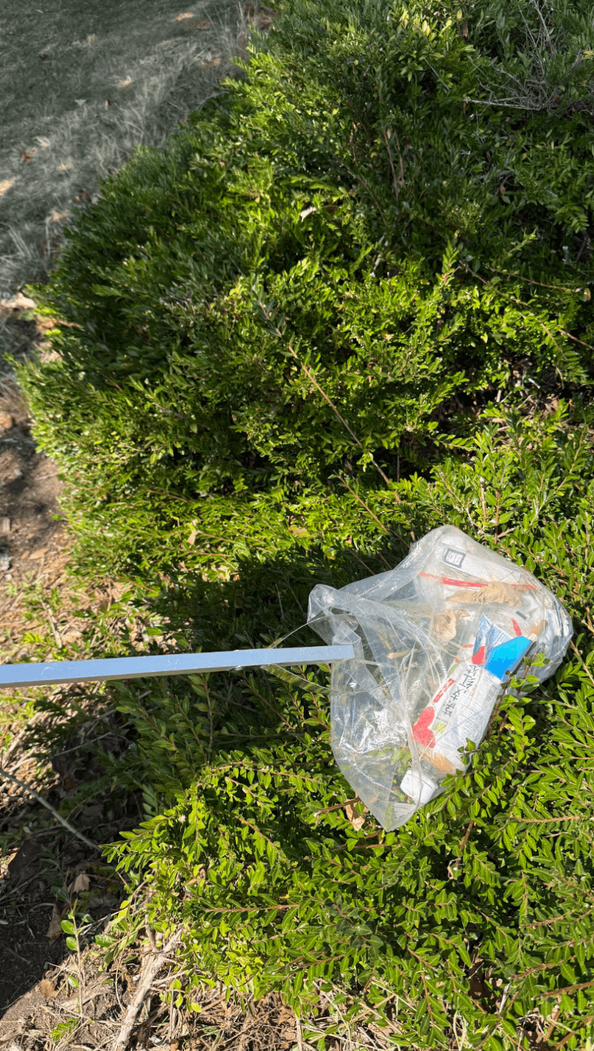 Clearing debris from the bushes